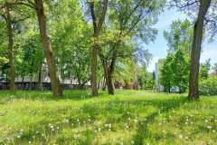 spacer_fotograficzny_szpital_wolski_maj_2022_12
