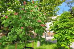 spacer_fotograficzny_szpital_wolski_maj_2022_22