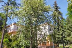 spacer_fotograficzny_szpital_wolski_maj_2022_23