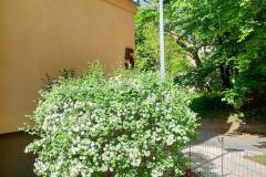 spacer_fotograficzny_szpital_wolski_maj_2022_25