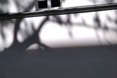spacer_fotograficzny_szpital_wolski_maj_2022_32
