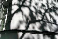 spacer_fotograficzny_szpital_wolski_maj_2022_33
