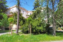 spacer_fotograficzny_szpital_wolski_maj_2022_4