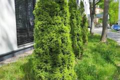 spacer_fotograficzny_szpital_wolski_maj_2022_8