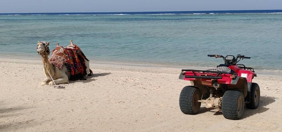 MARSA_EL_ALAM_1